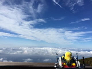 ヒヨコちゃん、雲の上へ