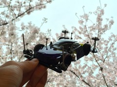 桜とミニ四駆