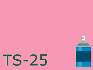 TS-25 ピンク