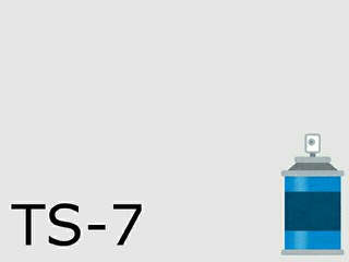TS-7 レーシングホワイト