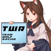 TWR(TEAM WOLF RACING)