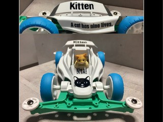 Kitten
