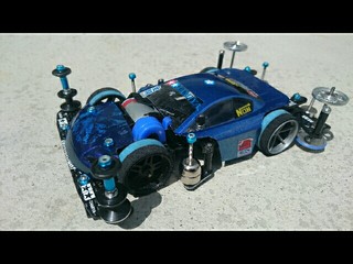 TRF FMAR