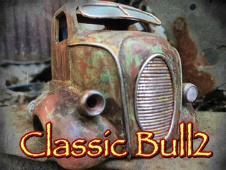 Classic Bull type 2
