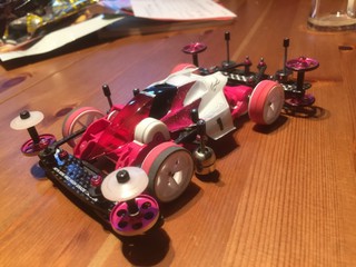 バンキッシュ PINK/WHITE TYPE:FMAR