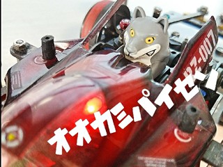 MSオオカミパイセン