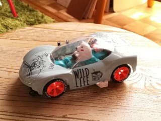 しろくまっこGT