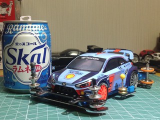 HYUNDAI motor sport & Skal