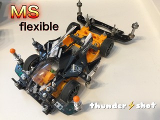 ms flexible
