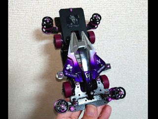 MS-violet mirror bIird