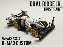 DualRidge TRUST Custom