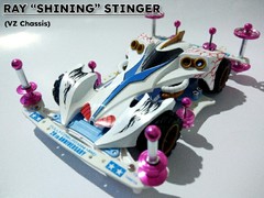 Ray "Shining" Stinger