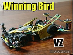 Winning Bird VZ