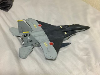 F 15E 自衛隊仕様