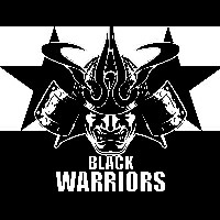 Black Warriors mini4wd