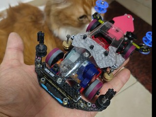 fmvz改造完