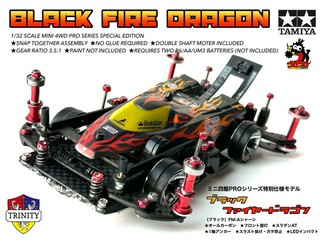 BLACK FIRE DRAGON