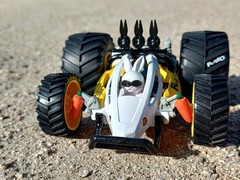 FunnyBunnyBuggy