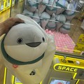 なめこ