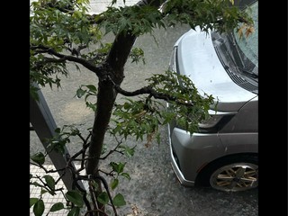 やべーやべー。
