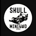 SKULL MINI4WD