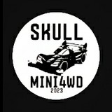 SKULL MINI4WD
