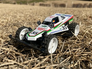 本年初みはらし公園　そしてローパー